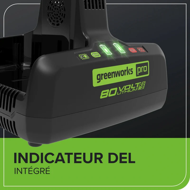 80V Dual Port Rapid Charger