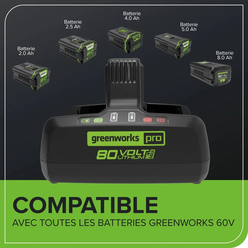 80V Dual Port Rapid Charger