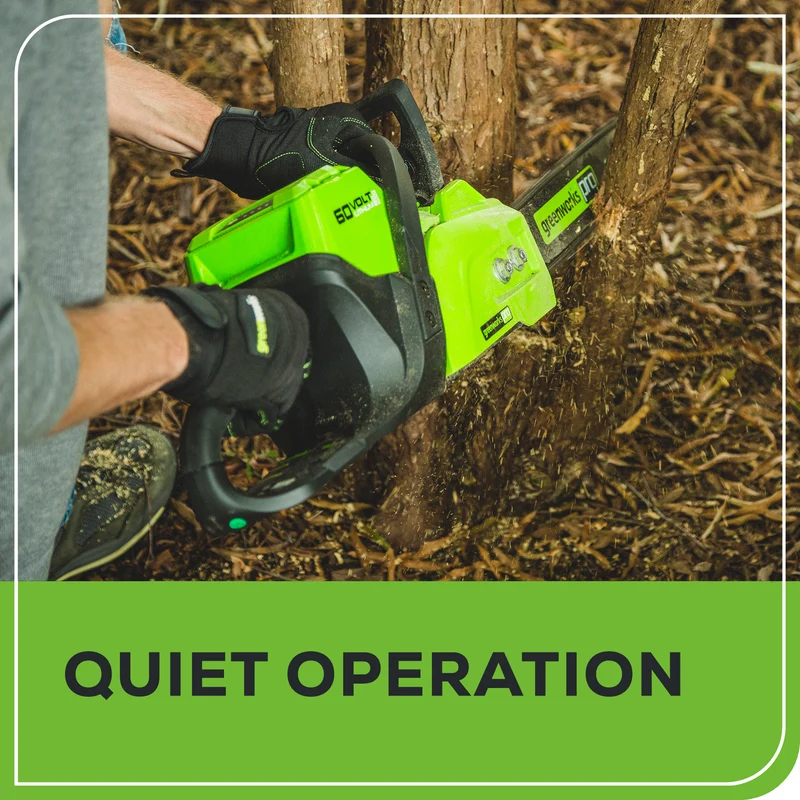 60V 16" Brushless Chainsaw, 2.5Ah Battery and Charger Included