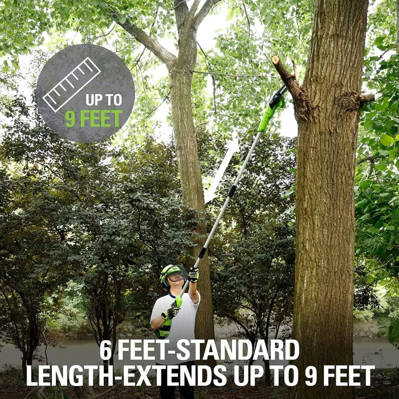 24V 8" Pole Saw, 2.0Ah Battery and Charger Included, PS24B210