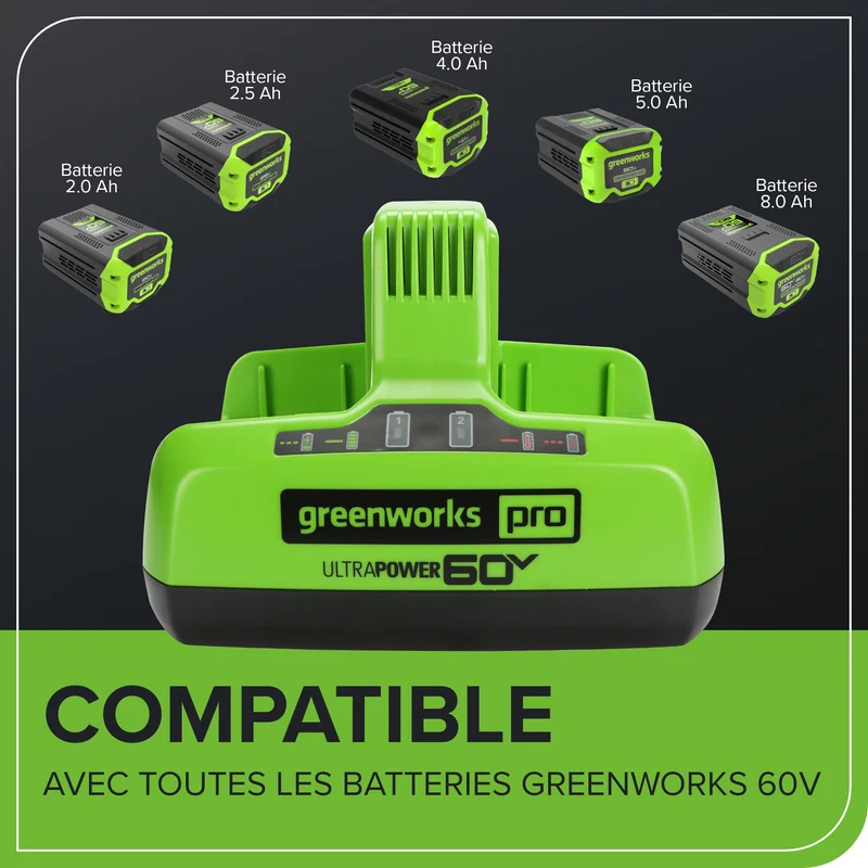 Pro 60V UltraPower 6 Amp Dual-Port Battery Charger
