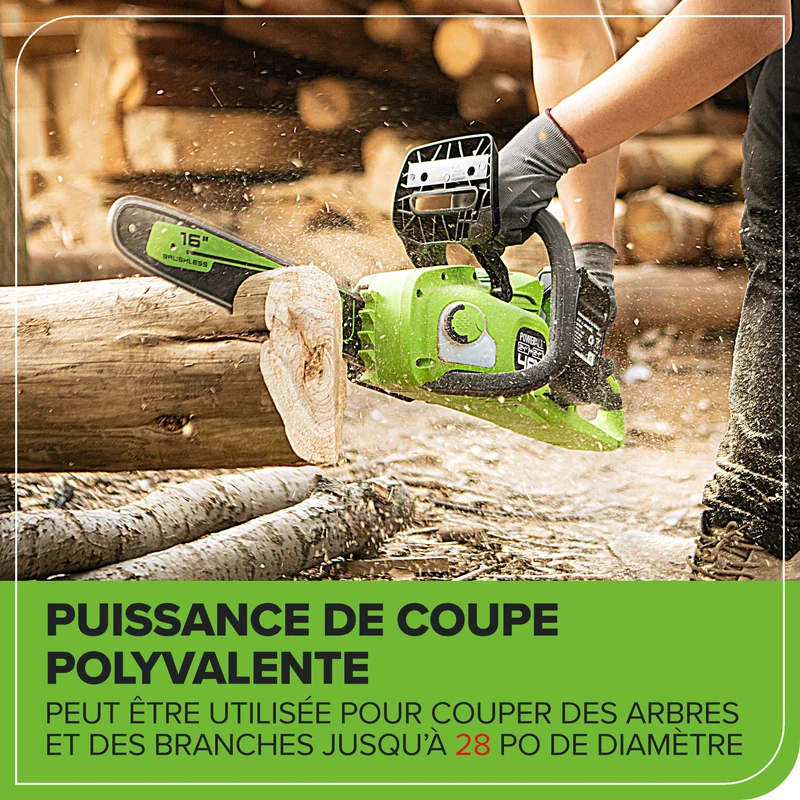 48V (24V x 2) 16" Cordless Battery Chainsaw, (2) 4.0Ah USB Batteries & Dual Port Charger Included
