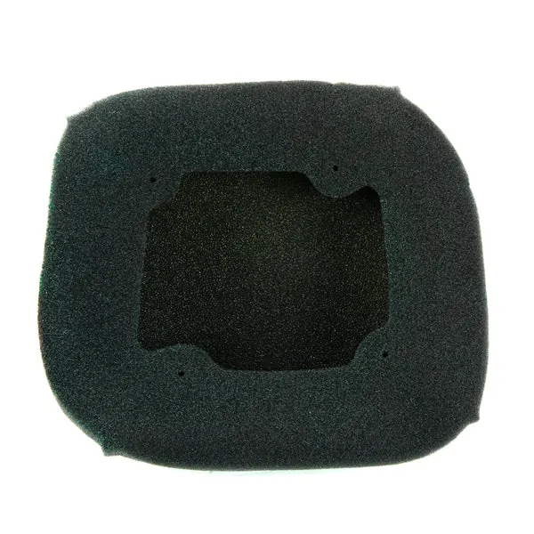 Twin Air Backfire Air Filter (025195)