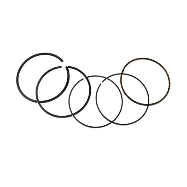 Namura Piston Ring (NA-10009-2R)