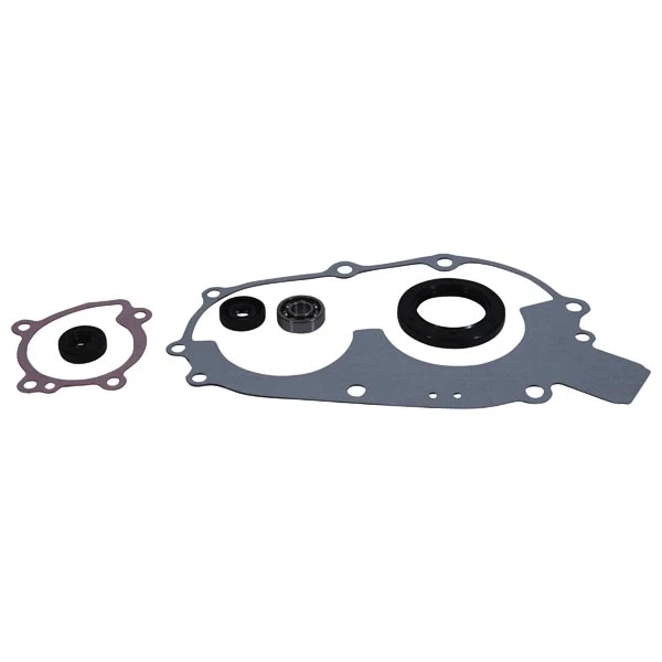 Vertex Water Pump Rebuild Kit (821808)