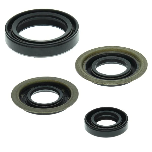 Vertex Engine Oil Seal Kit (822273)