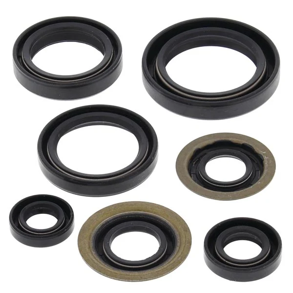 Vertex Engine Oil Seal Kit (822260)