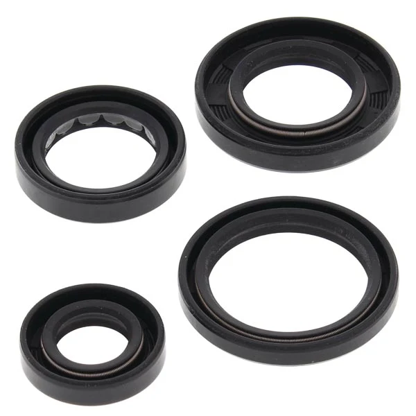 Vertex Engine Oil Seal Kit (822250)