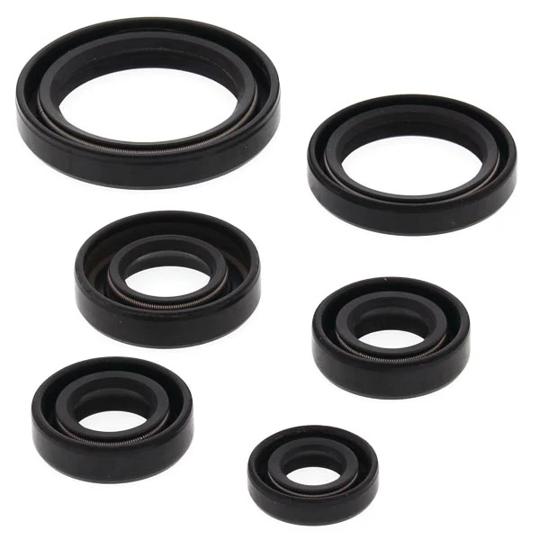 Vertex Engine Oil Seal Kit (822241)