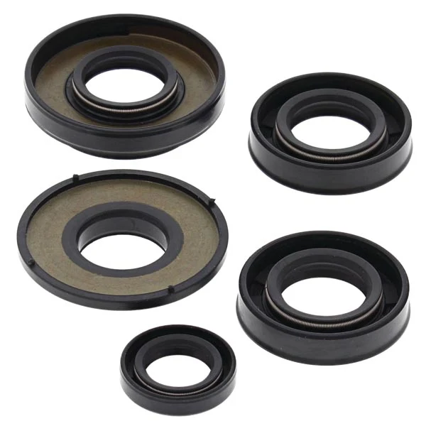 Vertex Engine Oil Seal Kit (822231)