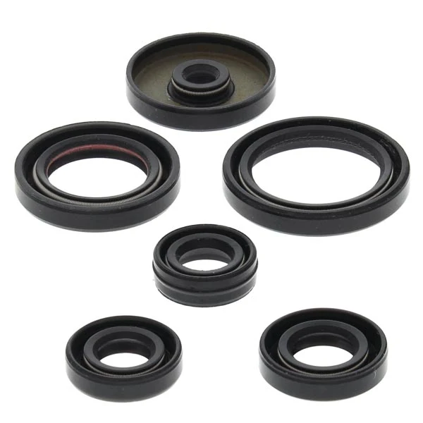 Vertex Engine Oil Seal Kit (822229)