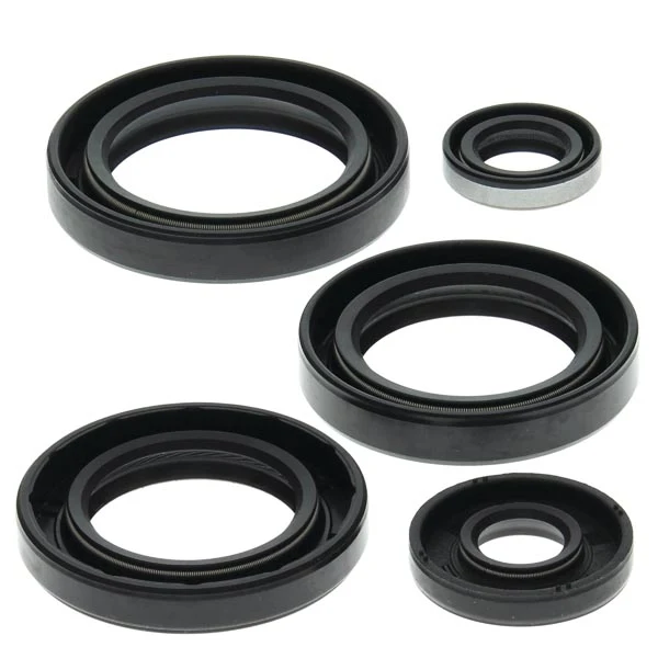 Vertex Engine Oil Seal Kit (822213)