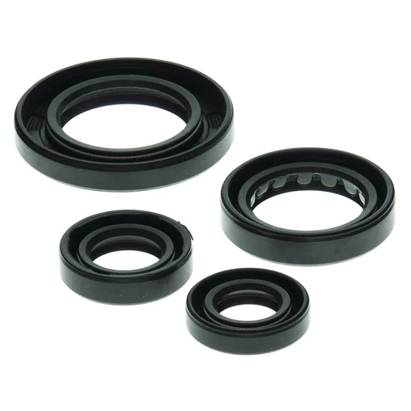 Vertex Engine Oil Seal Kit (822211)