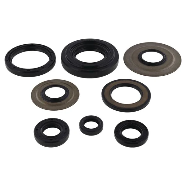 Vertex Engine Oil Seal Kit (822155)