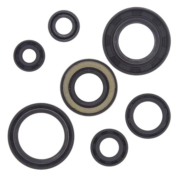 Vertex Engine Oil Seal Kit (822153)