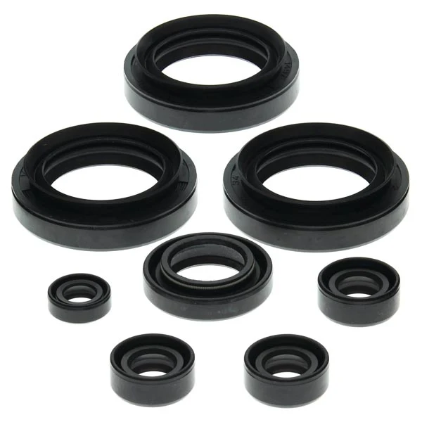 Vertex Engine Oil Seal Kit (822151)