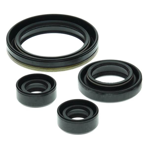 Vertex Engine Oil Seal Kit (822150)