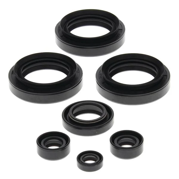 Vertex Engine Oil Seal Kit (822145)