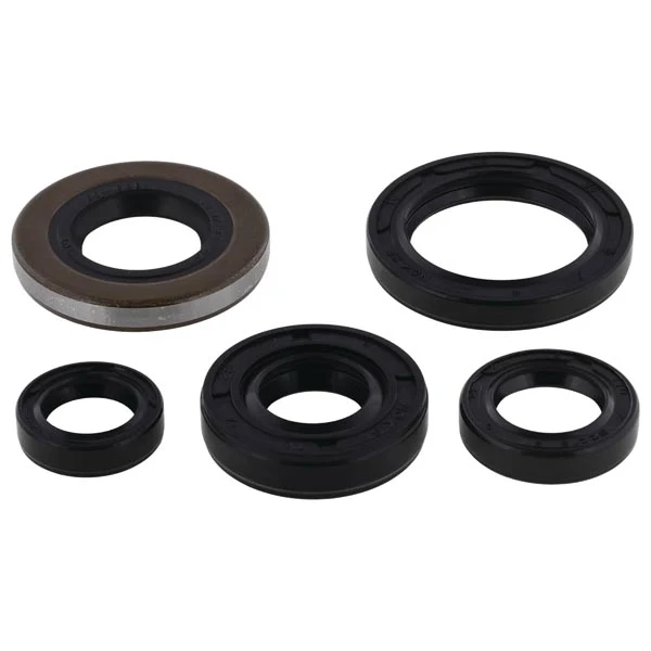 Vertex Engine Oil Seal Kit (822139)