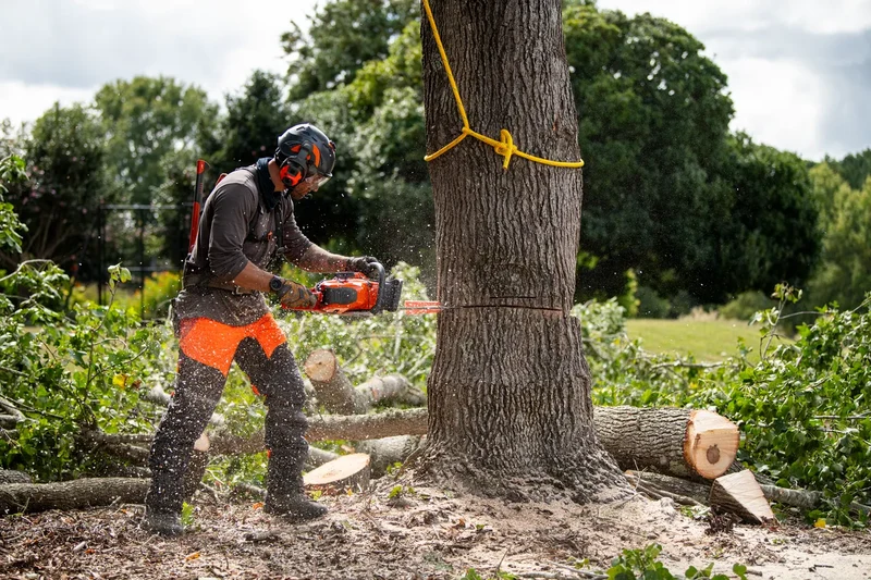 Husqvarna 564 XP® Fuel Injected Chainsaw