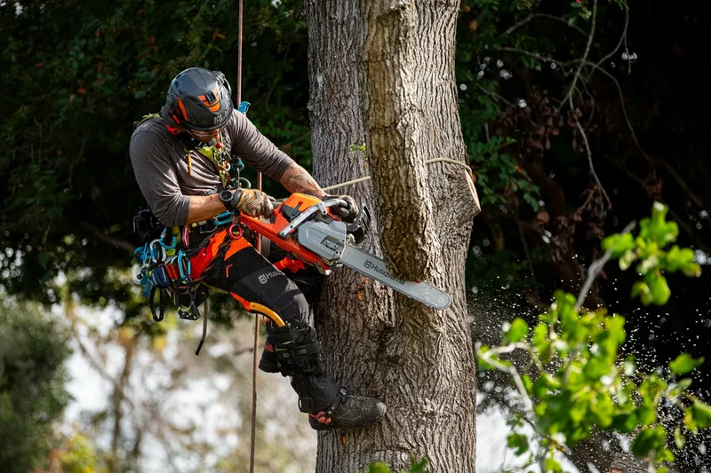 Husqvarna 564 XP® Fuel Injected Chainsaw