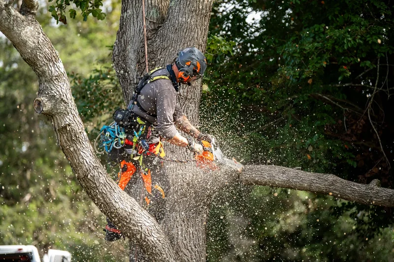 Husqvarna 564 XP® Fuel Injected Chainsaw