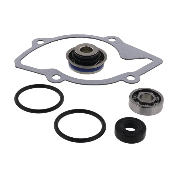 Vertex Water Pump Rebuild Kit (721328)