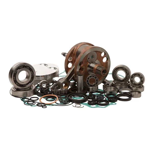 Vertex CMPLT ENGNE Rebuild Kit (WR101-027)