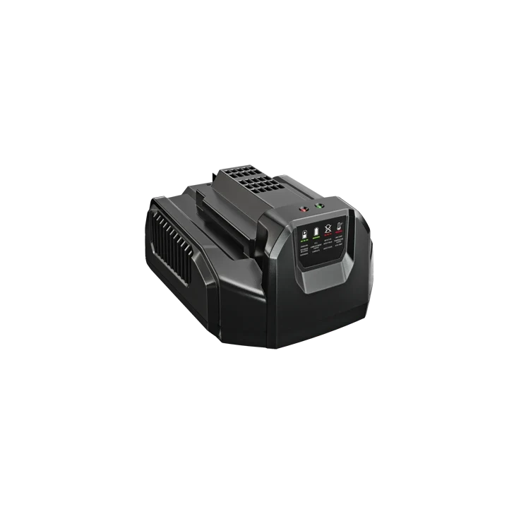 EGO Power+ 210W Standard Charger