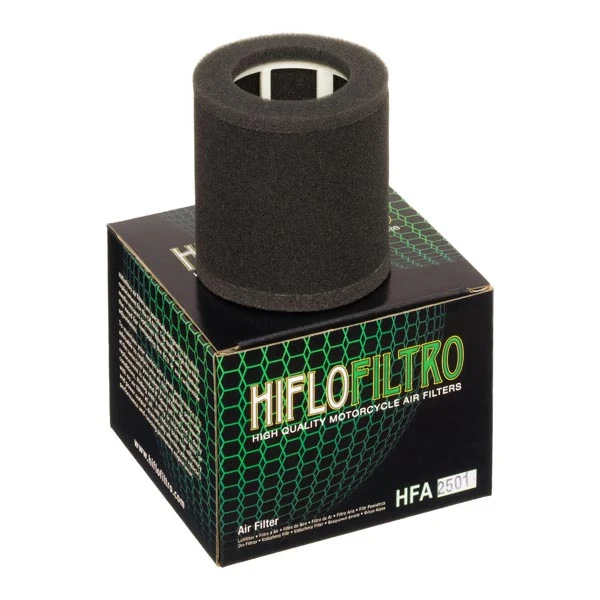 Hiflofiltro OE Replacement Air Filter (HFA2501)