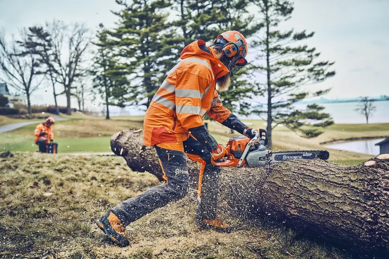Tronçonneuse professionnelle - HUSQVARNA 562XP Mark II-50SN