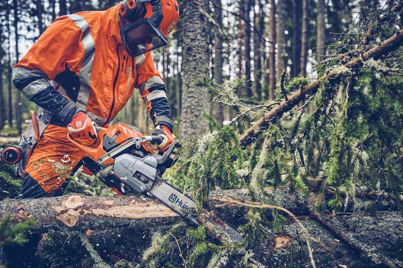 Tronçonneuse professionnelle - HUSQVARNA 562XP Mark II-50SN