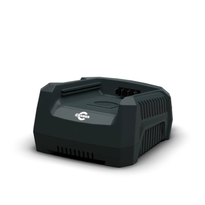 Chargeur simple - 4A - 82V
