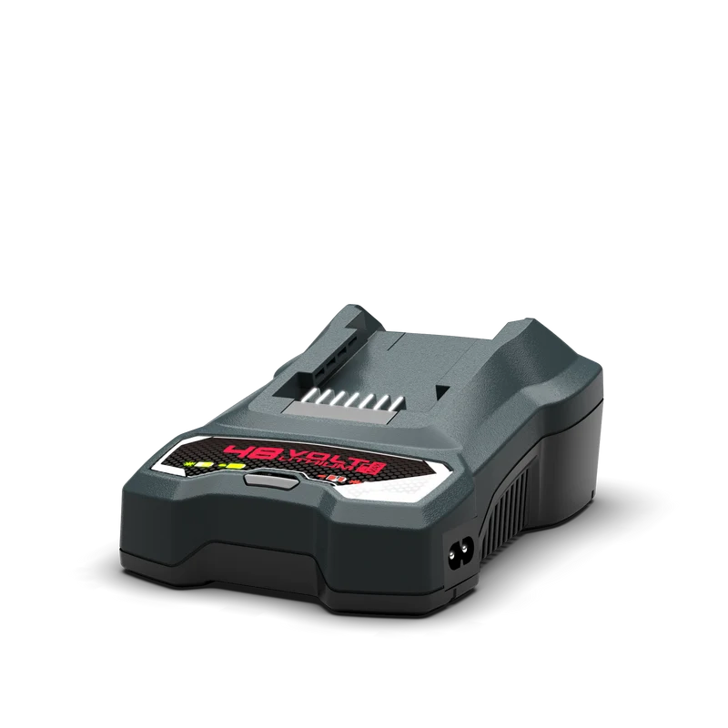 Chargeur simple 48V 4A