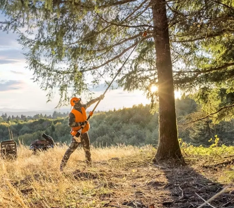 Perche d'élagage THERMIQUE STIHL HT 135