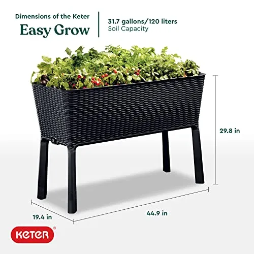 Keter Easy 31.7 Gallon Raised Garden Bed with Self Watering Planter Box and Drainage Plug-Perfect for Growing Fresh Vegetables, Flowers and Herbs, Graphite