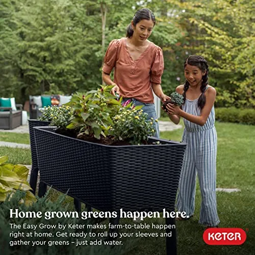 Keter Easy 31.7 Gallon Raised Garden Bed with Self Watering Planter Box and Drainage Plug-Perfect for Growing Fresh Vegetables, Flowers and Herbs, Graphite