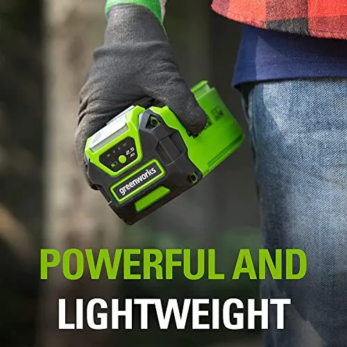 Greenworks 40V 2.5Ah Lithium-Ion Battery (Genuine Greenworks Battery)