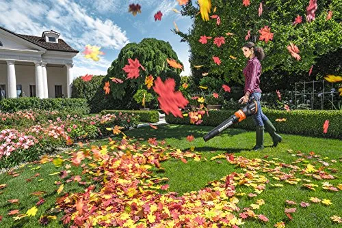 WORX WG546 TURBINE 20V PowerShare 2-Speed Cordless Battery-Powered Leaf Blower