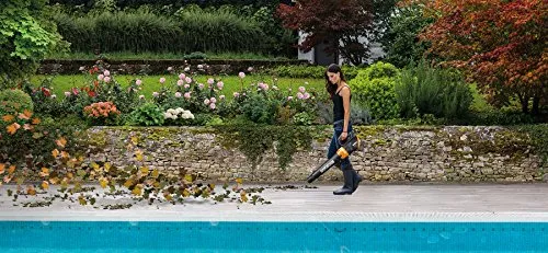 WORX WG546 TURBINE 20V PowerShare 2-Speed Cordless Battery-Powered Leaf Blower