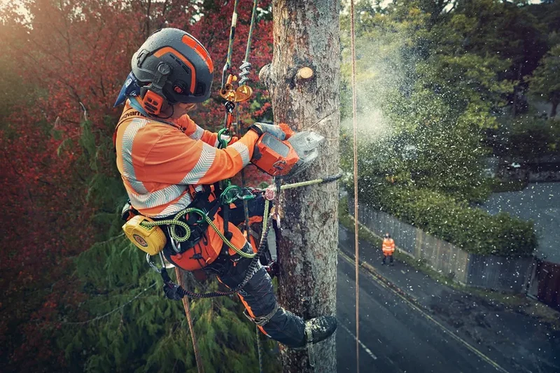 Tronçonneuse élagueuse à batterie professionnelle - HUSQVARNA T542iXP-35SN