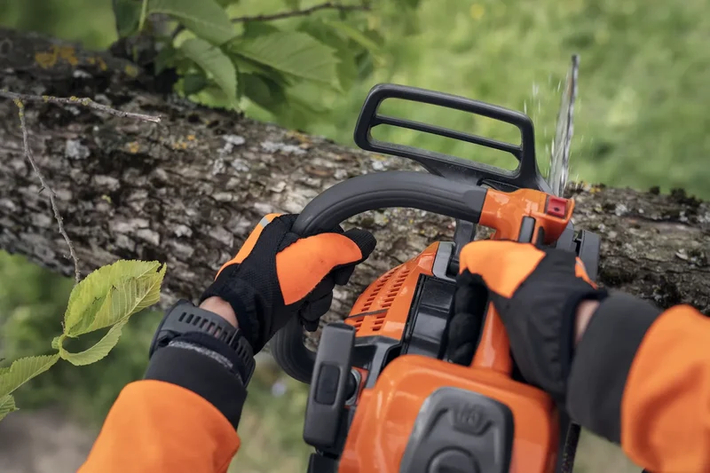 Tronçonneuse thermique - Husqvarna T540 XP® Mark III
