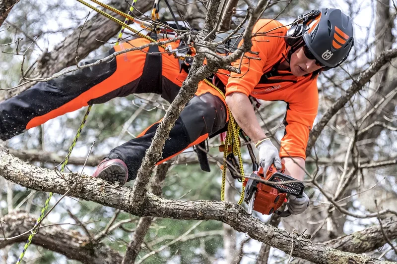 HUSQVARNA T525 Elagueuse professionnelle
