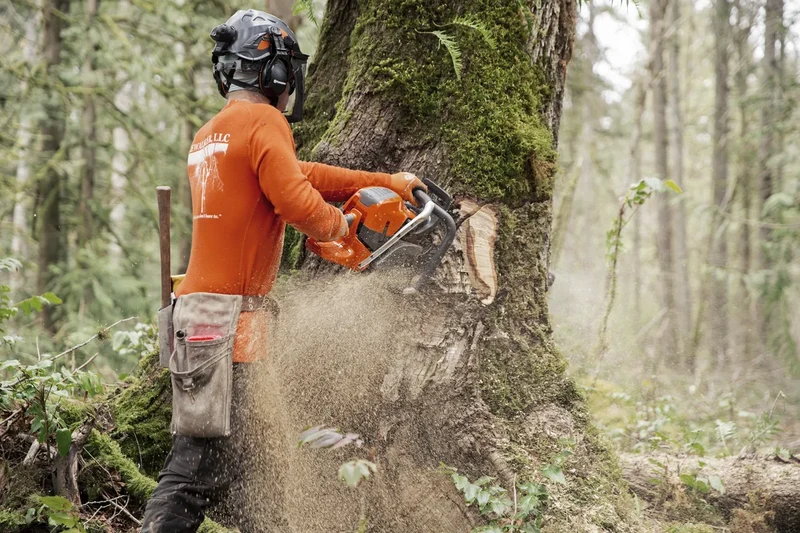 Tronçonneuse thermique HUSQVARNA 592 XP