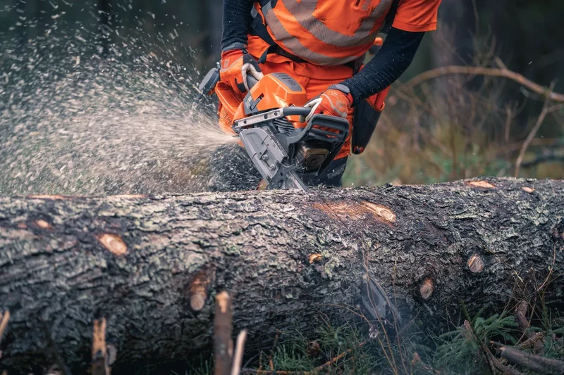 Tronçonneuse thermique HUSQVARNA 592 XP