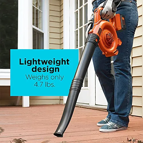 BLACK+DECKER 40V MAX* Cordless Sweeper (LSW36)