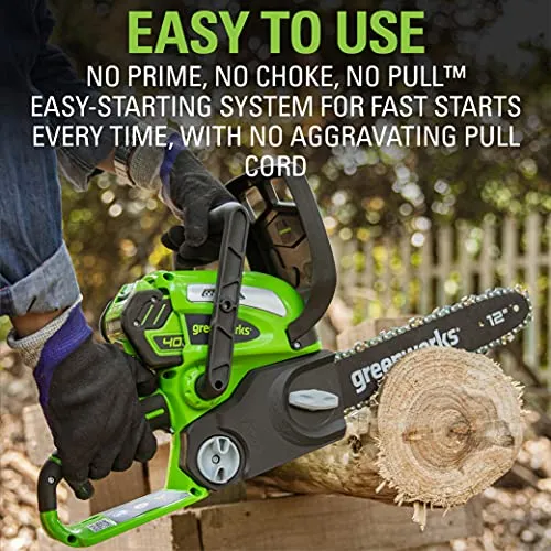 Greenworks 40V 12-Inch Cordless Chainsaw, 2.0Ah Battery and Charger Included